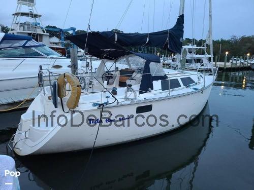 Hunter 30T ficha técnica y opiniones